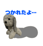 コボとあそぼ（個別スタンプ：24）