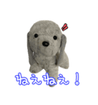 コボとあそぼ（個別スタンプ：31）