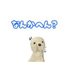 コボとあそぼ（個別スタンプ：36）