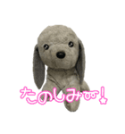 コボとあそぼ（個別スタンプ：37）