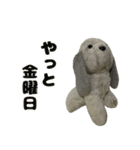 コボとあそぼ（個別スタンプ：40）