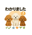 ふわふわトイプードルの まごころ便（個別スタンプ：2）