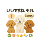 ふわふわトイプードルの まごころ便（個別スタンプ：4）