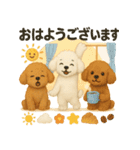 ふわふわトイプードルの まごころ便（個別スタンプ：5）
