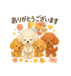 ふわふわトイプードルの まごころ便（個別スタンプ：12）
