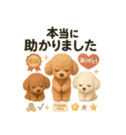 ふわふわトイプードルの まごころ便（個別スタンプ：14）