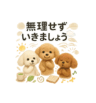 ふわふわトイプードルの まごころ便（個別スタンプ：34）