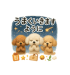 ふわふわトイプードルの まごころ便（個別スタンプ：37）