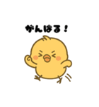 ほっこりひよこスタンプ（個別スタンプ：5）