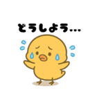 ほっこりひよこスタンプ（個別スタンプ：16）