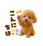 毎日使えるかわいいトイプードル（個別スタンプ：2）
