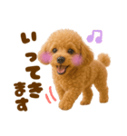 毎日使えるかわいいトイプードル（個別スタンプ：3）