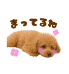 毎日使えるかわいいトイプードル（個別スタンプ：9）