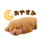 毎日使えるかわいいトイプードル（個別スタンプ：10）