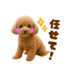 毎日使えるかわいいトイプードル（個別スタンプ：13）