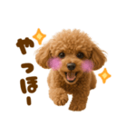 毎日使えるかわいいトイプードル（個別スタンプ：14）