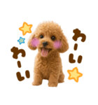 毎日使えるかわいいトイプードル（個別スタンプ：17）