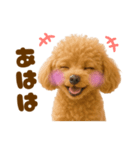 毎日使えるかわいいトイプードル（個別スタンプ：18）