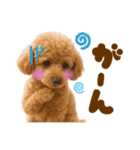 毎日使えるかわいいトイプードル（個別スタンプ：22）