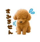 毎日使えるかわいいトイプードル（個別スタンプ：23）