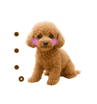 毎日使えるかわいいトイプードル（個別スタンプ：26）