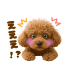 毎日使えるかわいいトイプードル（個別スタンプ：27）