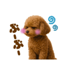 毎日使えるかわいいトイプードル（個別スタンプ：29）