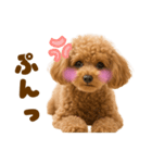 毎日使えるかわいいトイプードル（個別スタンプ：30）