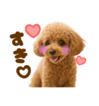 毎日使えるかわいいトイプードル（個別スタンプ：31）