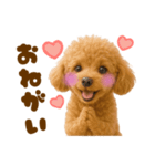 毎日使えるかわいいトイプードル（個別スタンプ：33）
