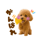 毎日使えるかわいいトイプードル（個別スタンプ：36）