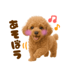 毎日使えるかわいいトイプードル（個別スタンプ：38）