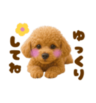 毎日使えるかわいいトイプードル（個別スタンプ：40）