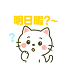 白猫みーちゃん2 〜お誘い編〜（個別スタンプ：1）