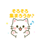 白猫みーちゃん2 〜お誘い編〜（個別スタンプ：7）