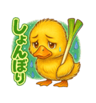 カルガモひよこ隊の毎日スタンプ（個別スタンプ：29）