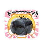 うさぎのomochi（個別スタンプ：8）