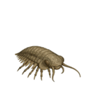[アレンジ用]古代生物どう使う？（個別スタンプ：2）