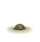[アレンジ用]古代生物どう使う？（個別スタンプ：6）