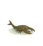 [アレンジ用]古代生物どう使う？（個別スタンプ：7）