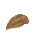 [アレンジ用]古代生物どう使う？（個別スタンプ：9）