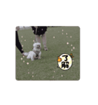 珀＆玖（個別スタンプ：7）