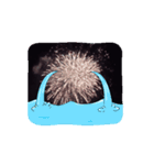 花火だよ（個別スタンプ：15）