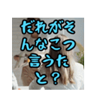 熊本弁スペシャル（個別スタンプ：15）