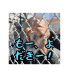 熊本弁スペシャル（個別スタンプ：18）