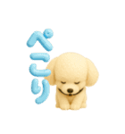 いろんなワンちゃん3Dスタンプ！日常編④（個別スタンプ：12）