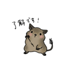 デグーのビジネスな1日（敬語）（個別スタンプ：24）