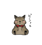 デグーのビジネスな1日（敬語）（個別スタンプ：25）
