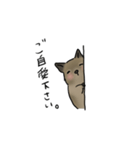 デグーのビジネスな1日（敬語）（個別スタンプ：29）