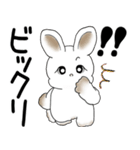 うさぎさん 2025「飛び出す」No.1（縦長）（個別スタンプ：13）